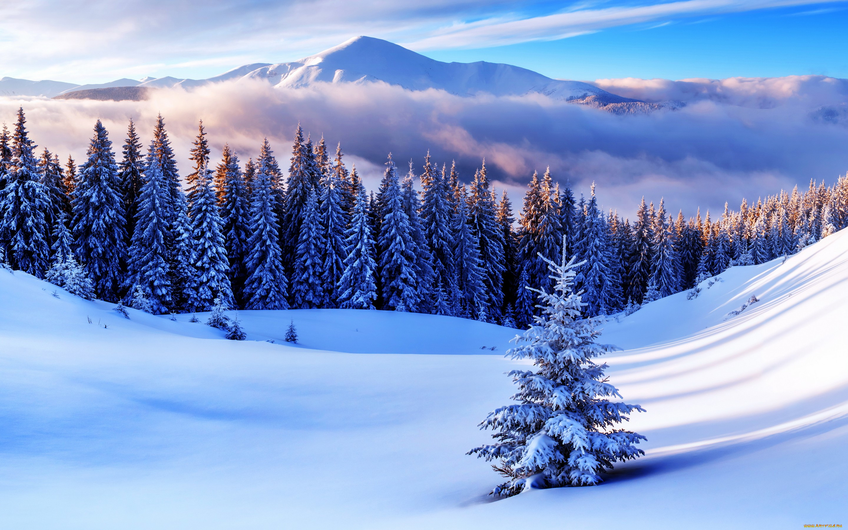 , , , snow, winter, nature, , , 